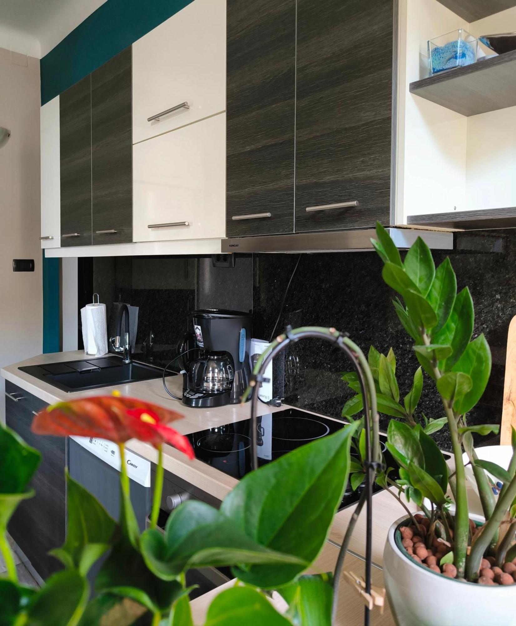 Apartment Urban